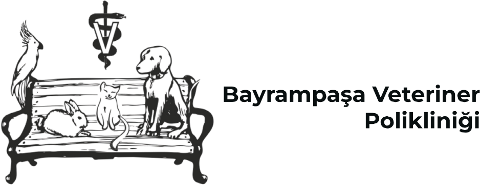 Bayrampaşa Veteriner Polikliniği