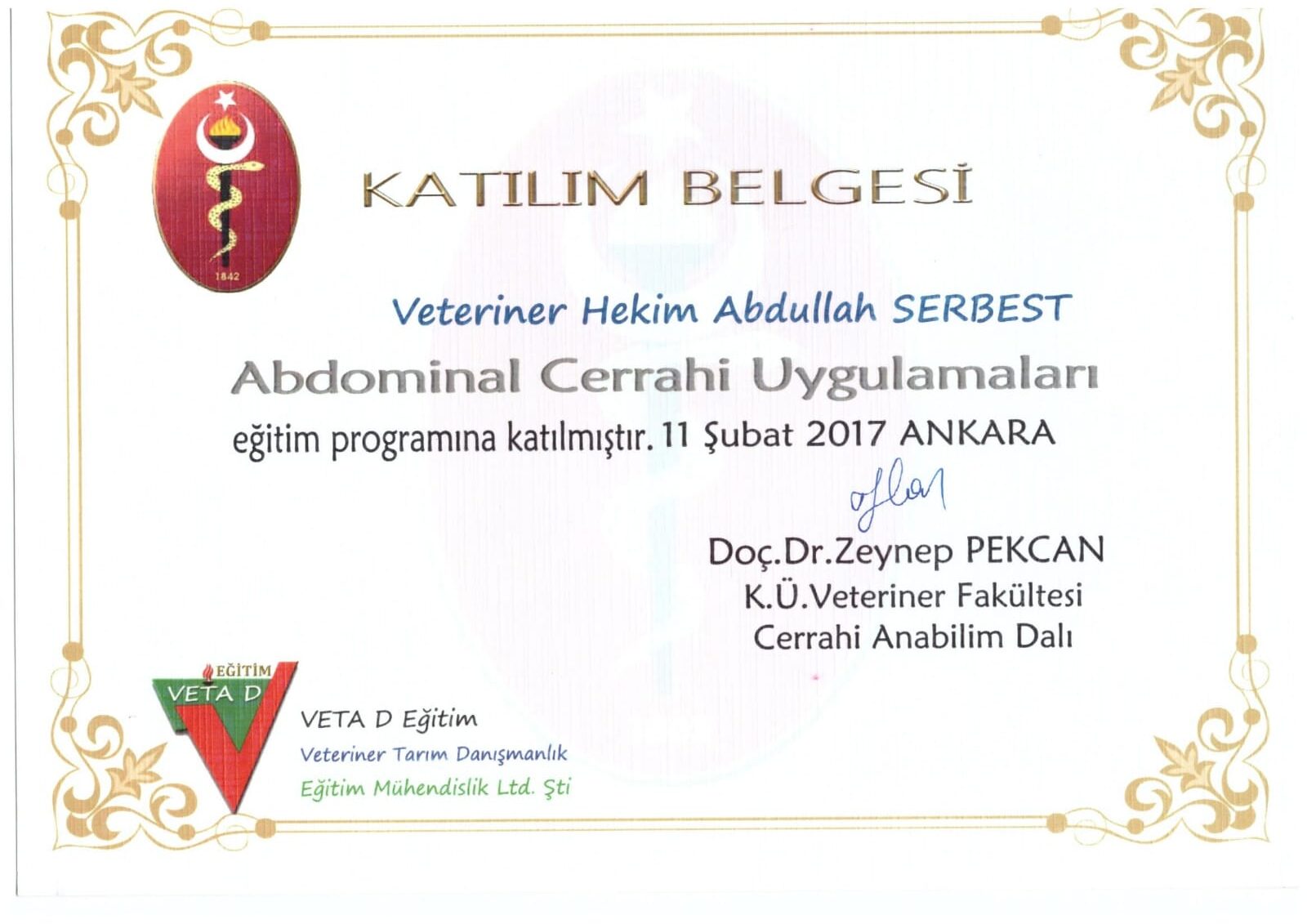 Abdominal Cerrahi sertifikası