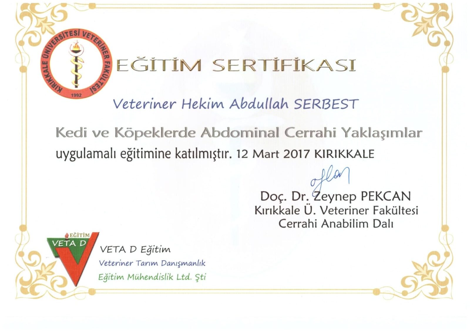 Abdominal Cerrahi Eğitimi sertifikası