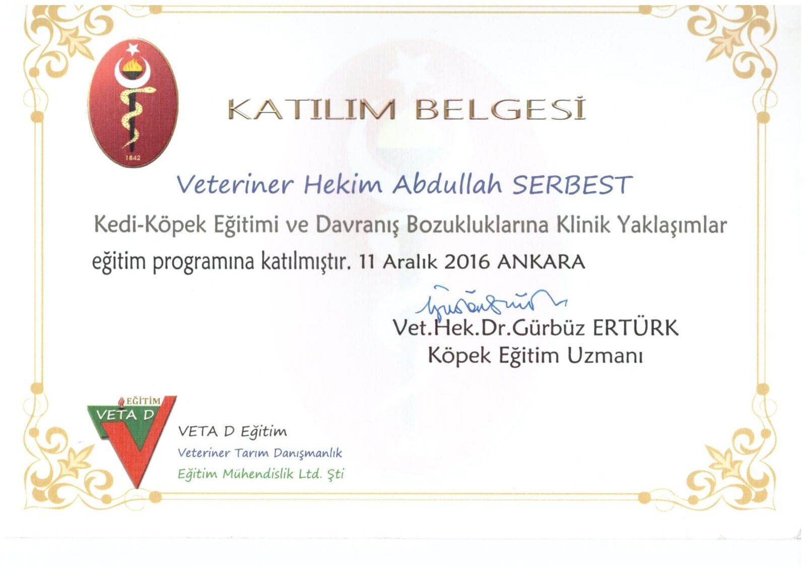 Davranış Bozuklukları sertifikası