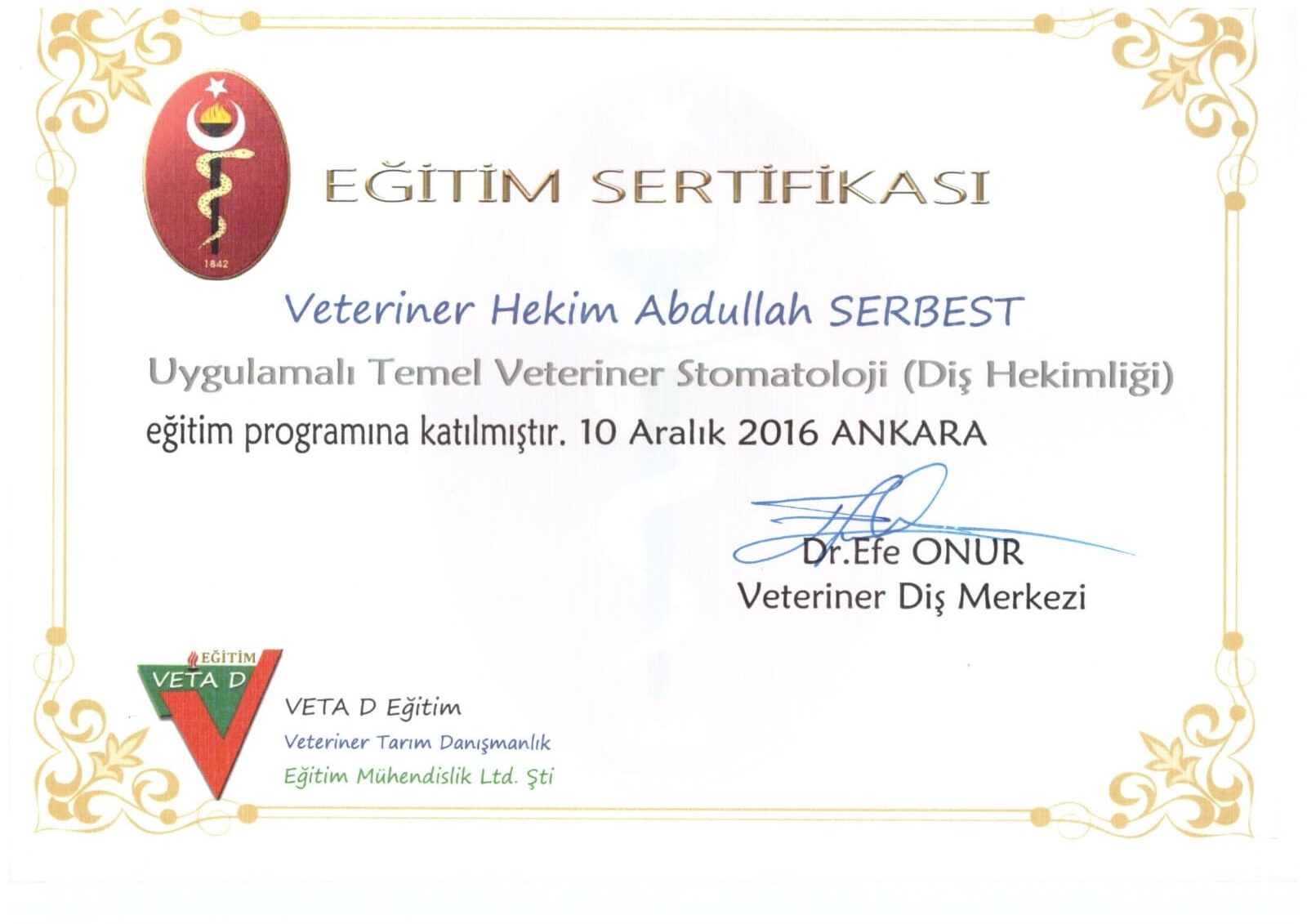 Veteriner Diş Hekimliği sertifikası