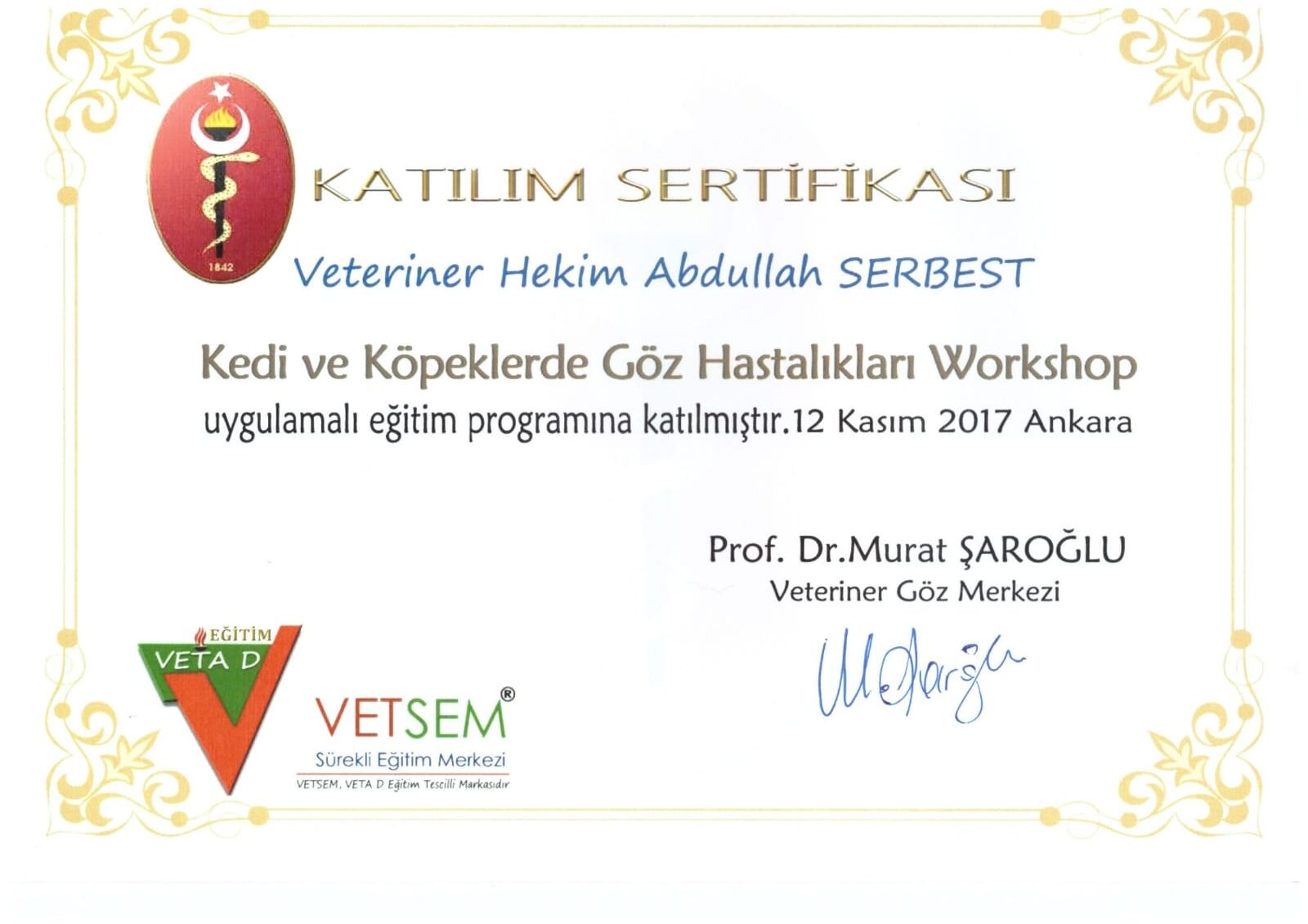 Göz Hastalıkları sertifikası