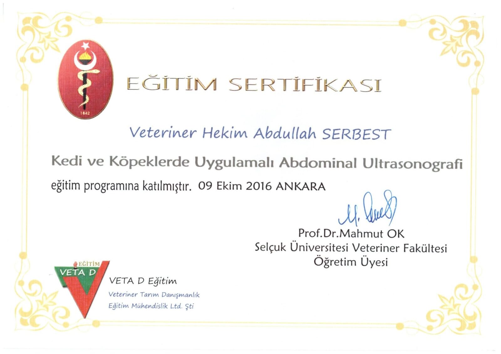 Ultrasonografi sertifikası