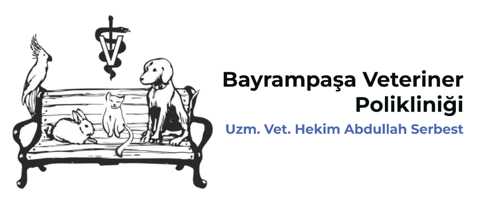 Bayrampaşa Veteriner Kliniği